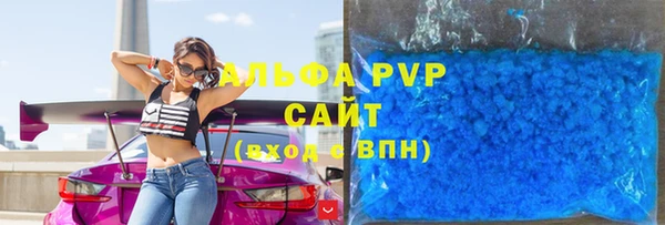 СК Волоколамск