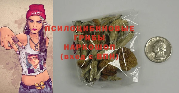 молекула духа Вязники