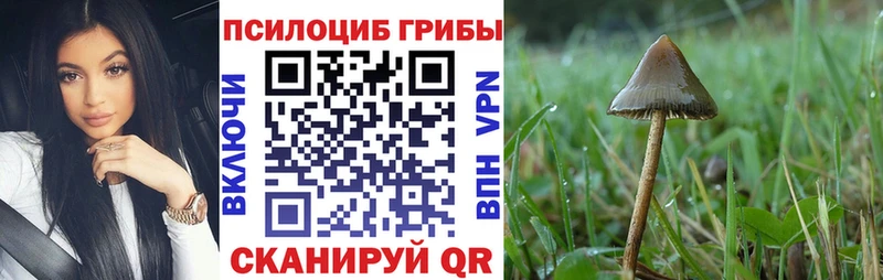 Галлюциногенные грибы MAGIC MUSHROOMS Волгореченск