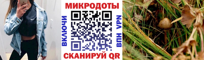 Галлюциногенные грибы мухоморы  Волгореченск 